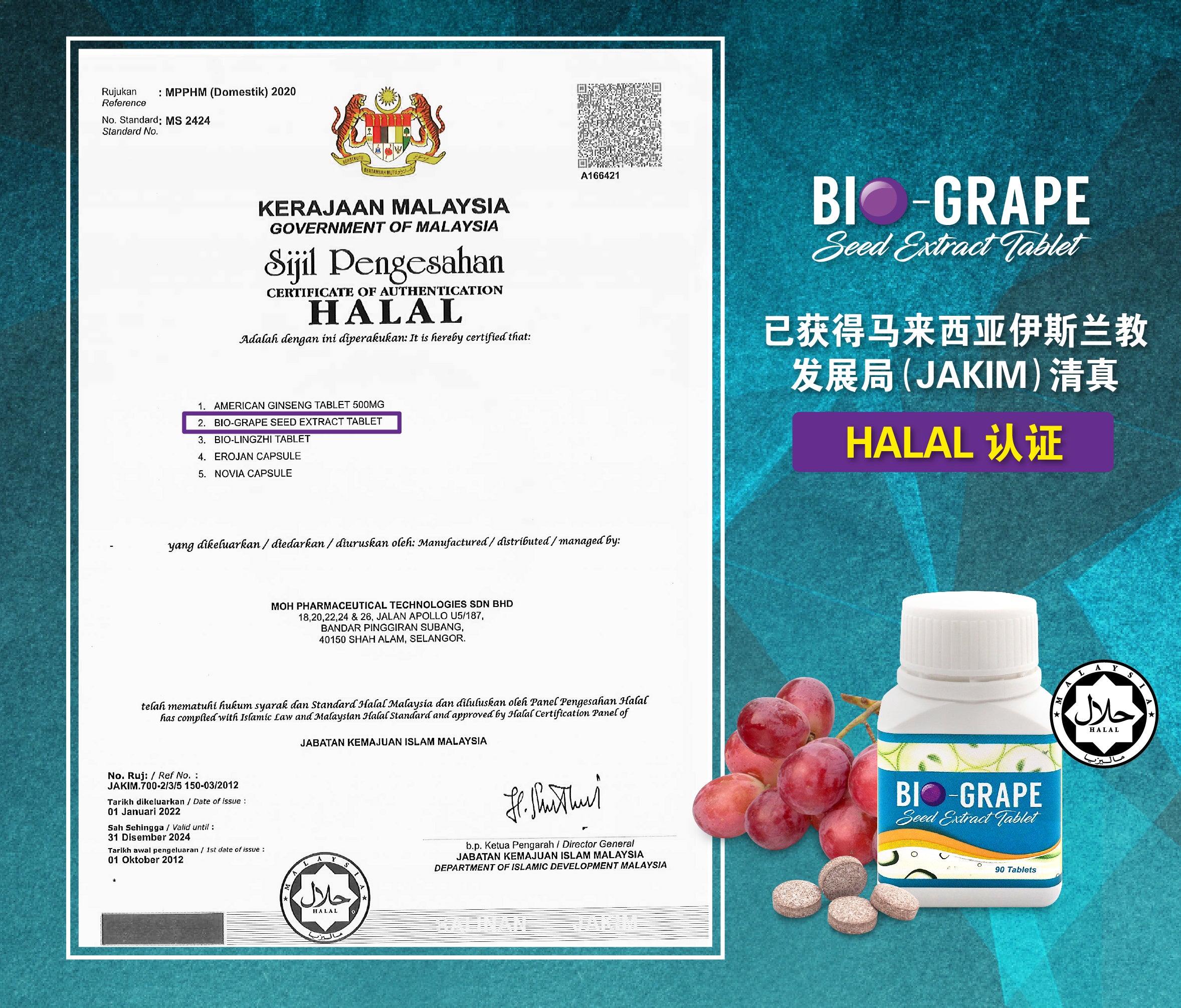 Bio Grape Seed Stabilizes High Blood Pressure, Blood Sugar, and Cholesterol While Maintaining Clear Blood Vessels | 95% Proanthocyanidins Formula