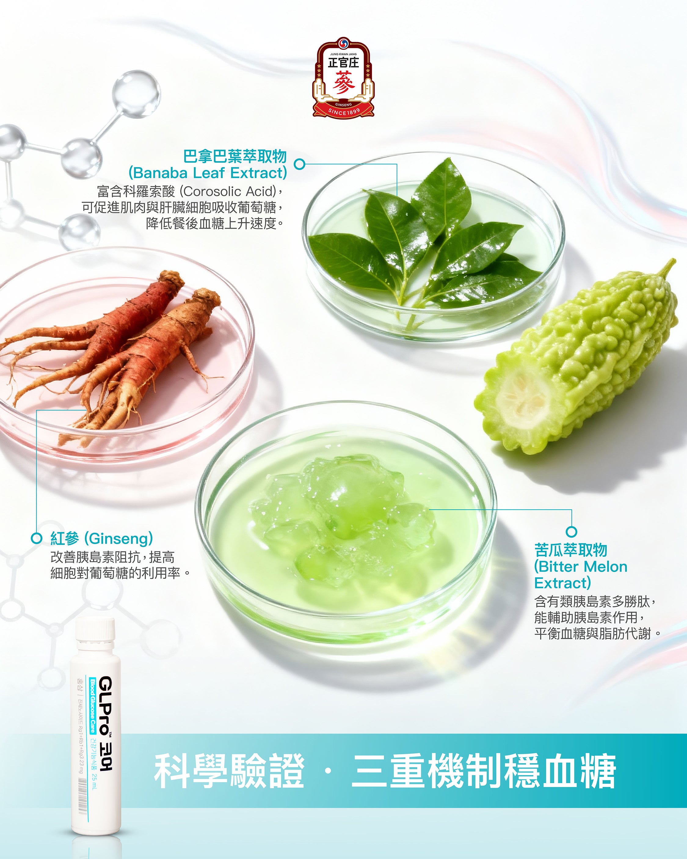 三大核心成分：紅參、巴拿巴葉、苦瓜
