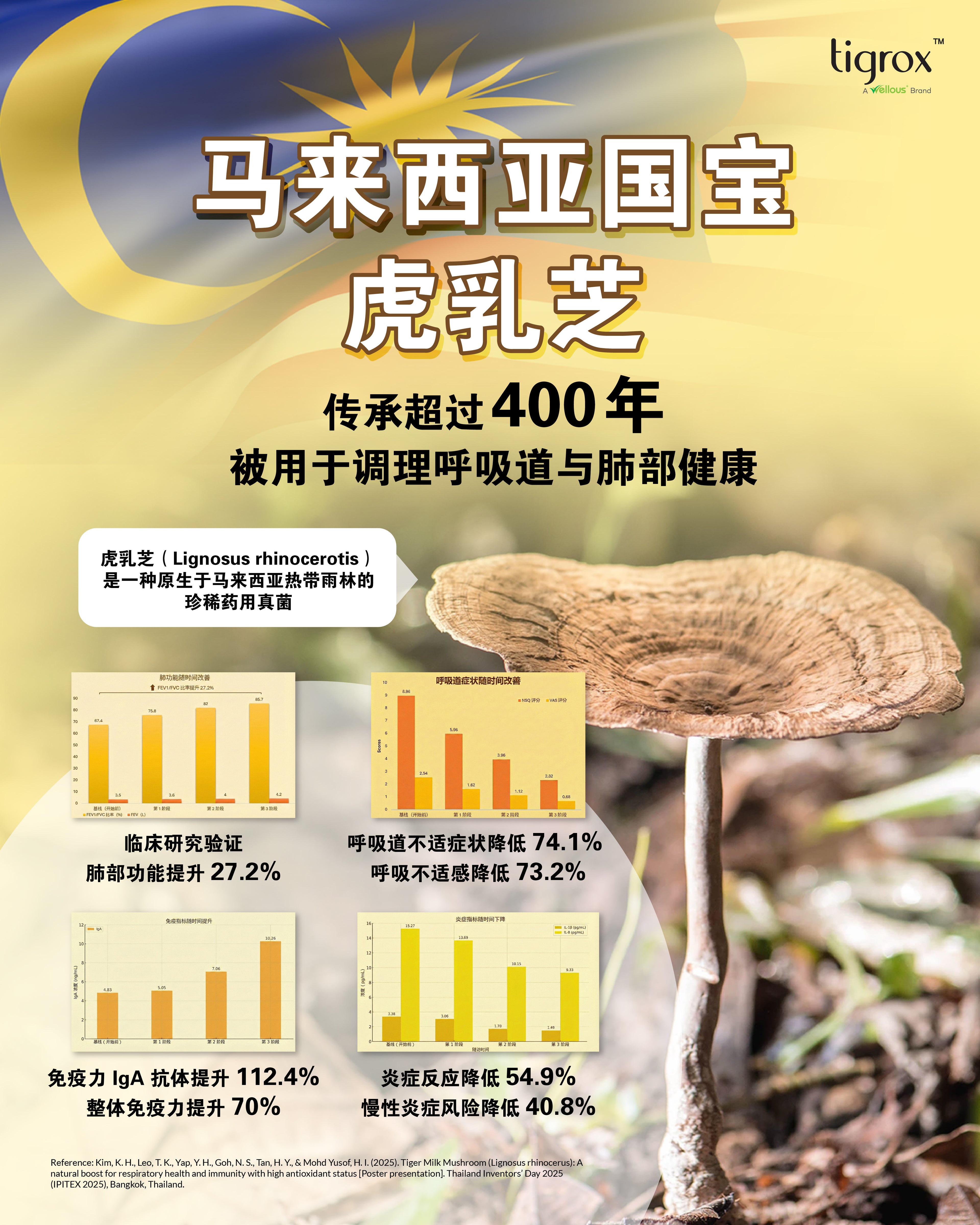 甘草成分功效介紹